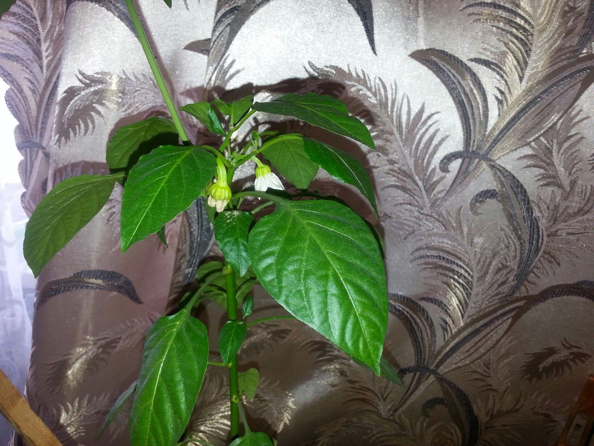 Фото автора от 27 марта