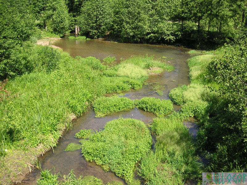 Река Тирекрея