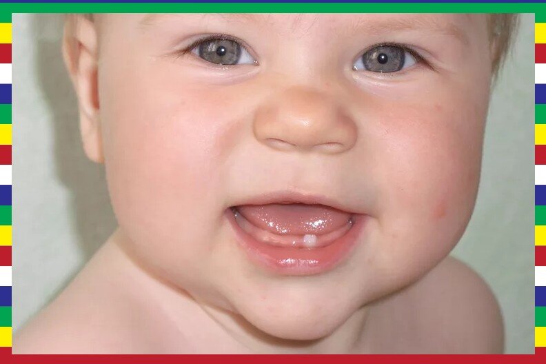 От природы нам предоставляется 2 комплекта зубов в подарок, а вот третий набор придется купить за свои кровные