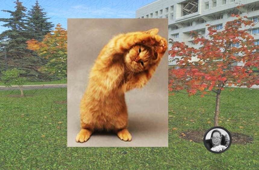 Буду благодарна, если поставите лайк и подпишетесь!  Вы поможете развитию канала