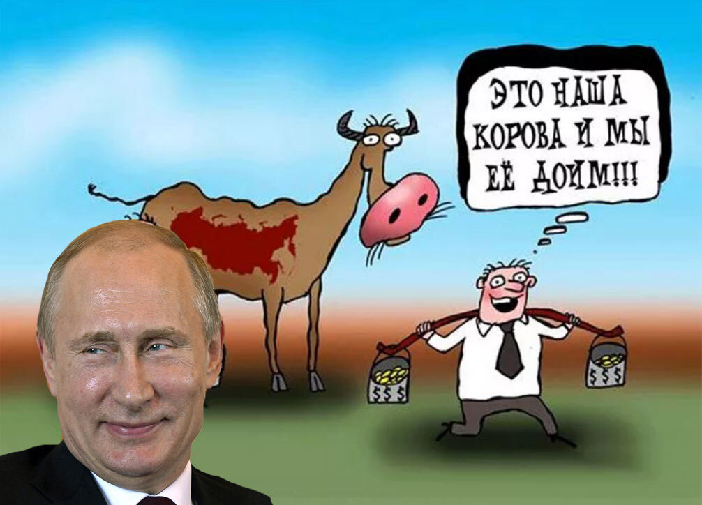 Коллаж на основе фото из сети Twitter