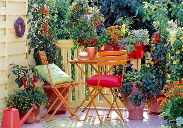 Райский балкончик с томатами, источник фото - balconygardenweb.com