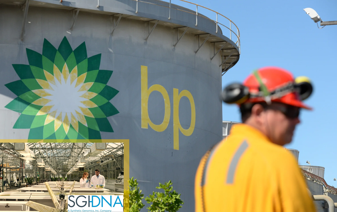 British Petroleum. С 2013 года «Би-Пи» принадлежит 20-процентная доля в компании «Роснефть».