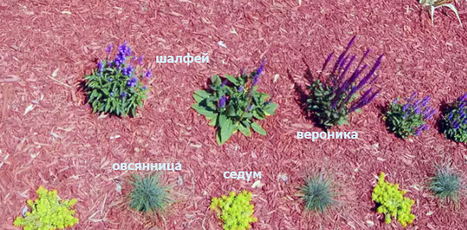 передний план >>>>>>>>