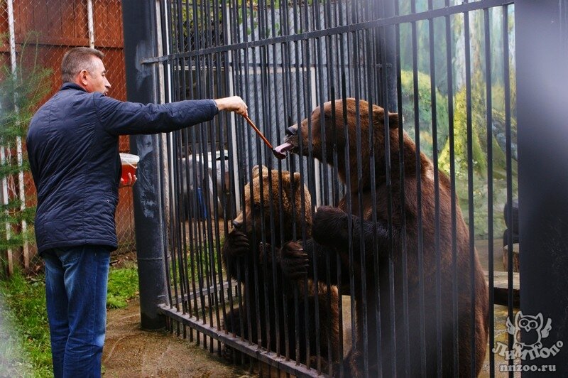 Владимир Герасичкин (фото: “Лимпопо”)