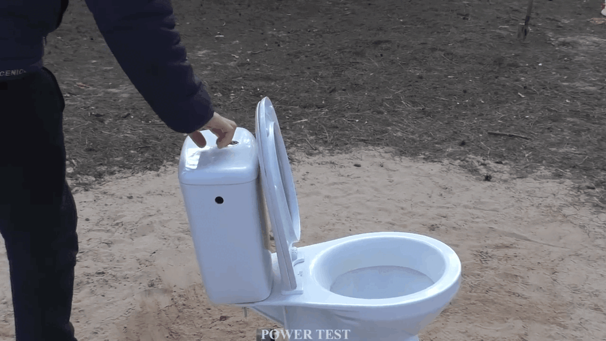 Видео взято из открытого источника