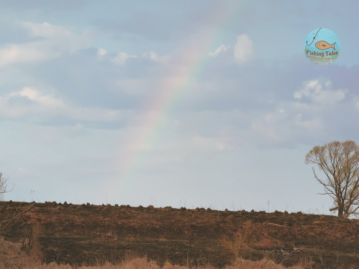 Фото: Fishing Tales 