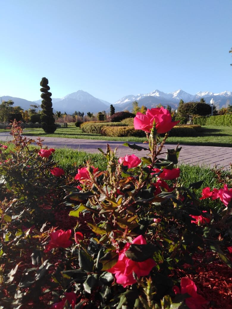 В нашем парке