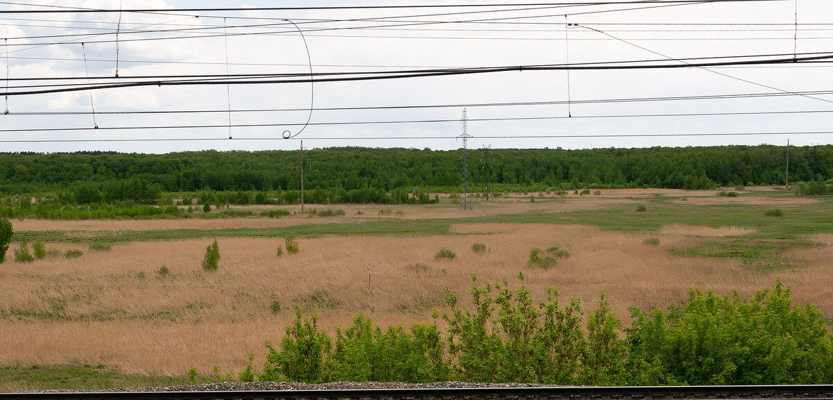 Фото собственного авторства. Именно здесь будут происходить события.