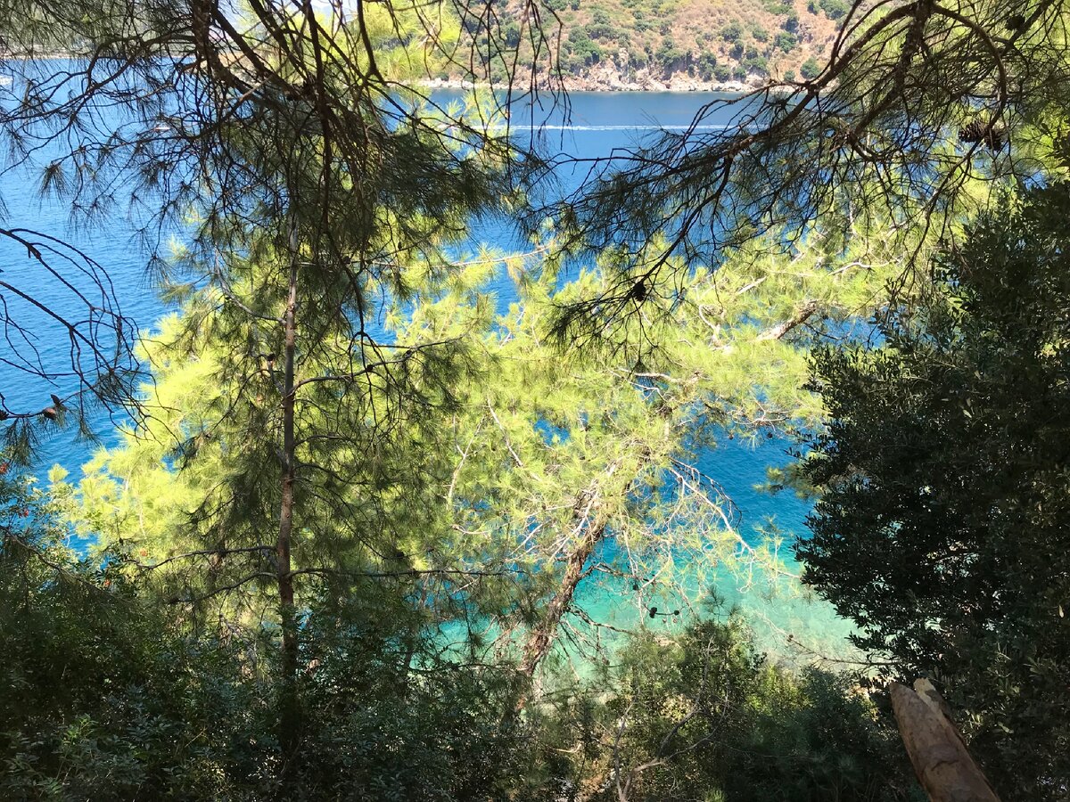 Просто немного красивого вида