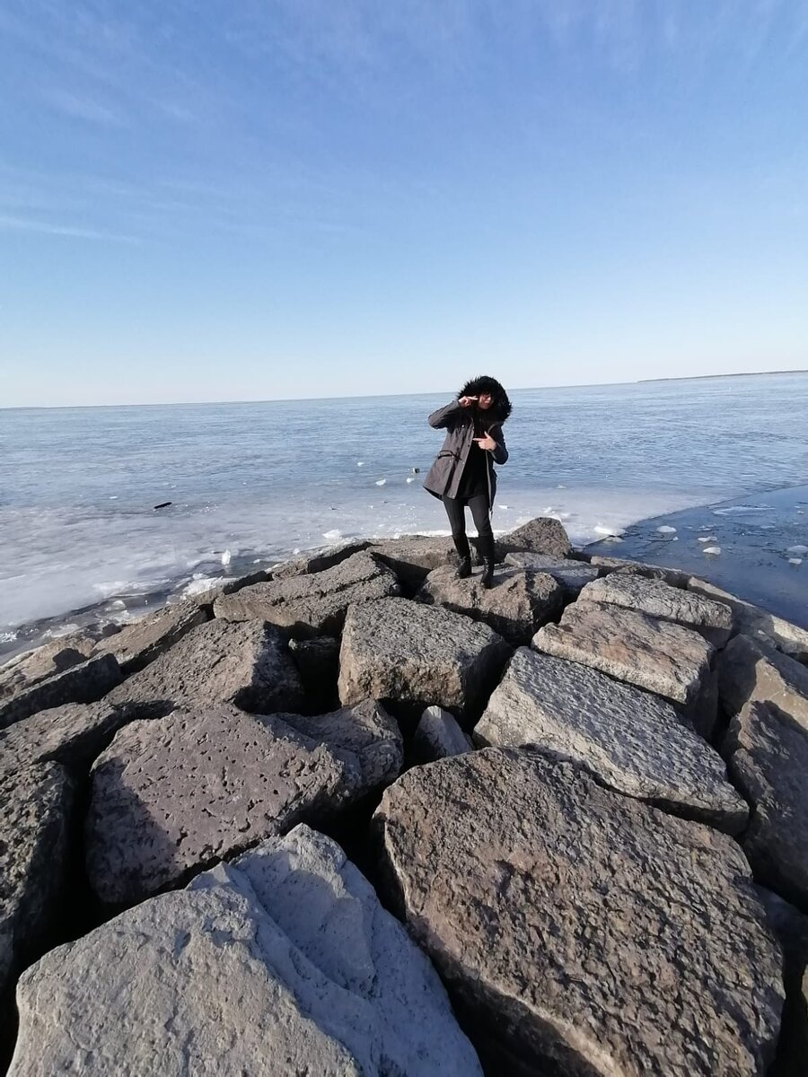 Somewhere my Love 