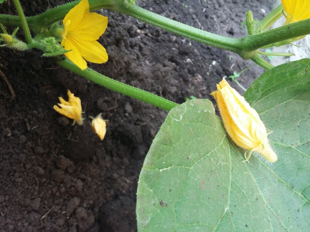 Источник фото: www.u-mama.ru