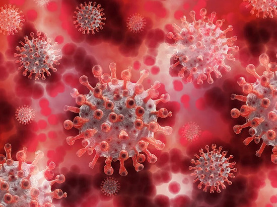  
Фото: pixabay.com