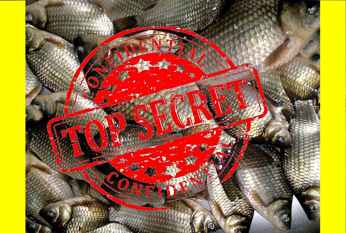 секретные караси...