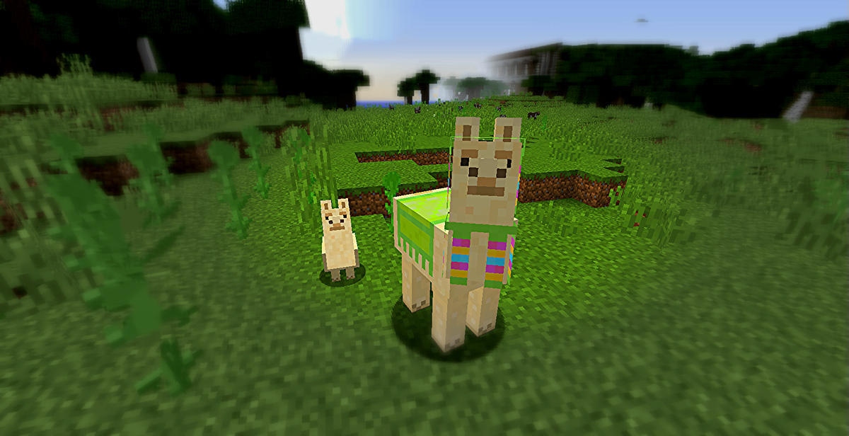Альпак майнкрафт. Майнкрафт лама игра. Майнкрафт животные альпака в майнкрафте. Маленькая лама из майнкрафта. Мобы из майнкрафта животные.