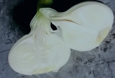 Чеснок в разрезе 19.08.2020 г., сформировались зубки. Размер впечатляет.