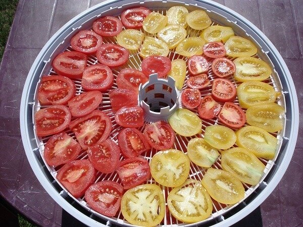 сушка в дигидраторе