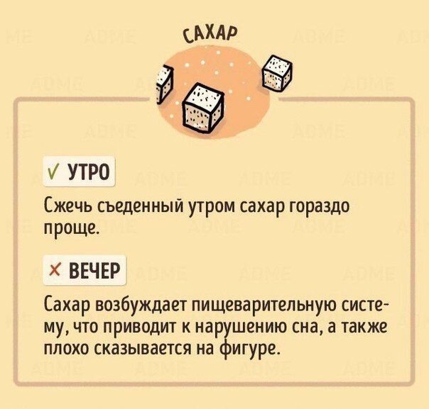 В какое время лучше есть те или иные продукты