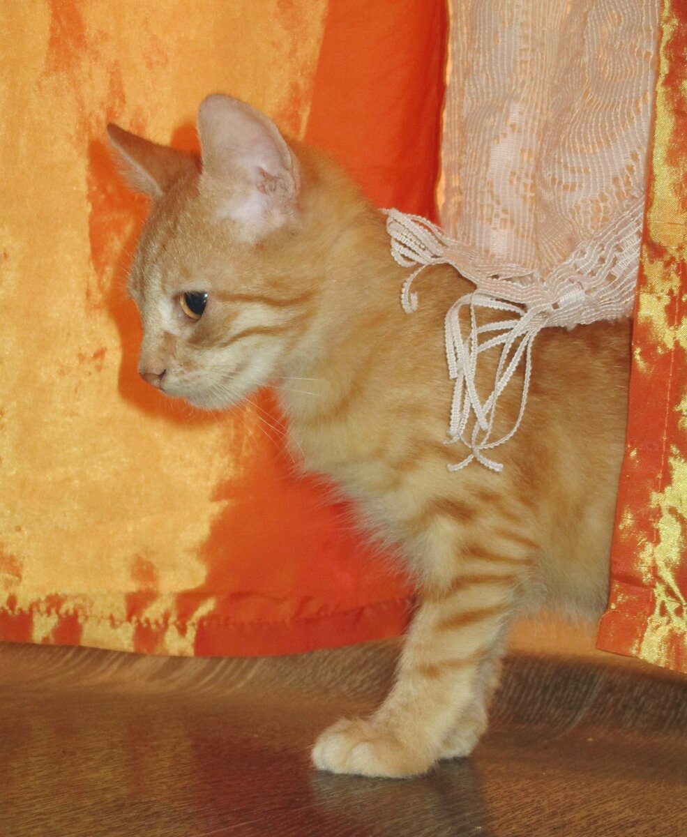 Кузьма в полном боевом раскрасе. Предельно собран и готов ко всему!