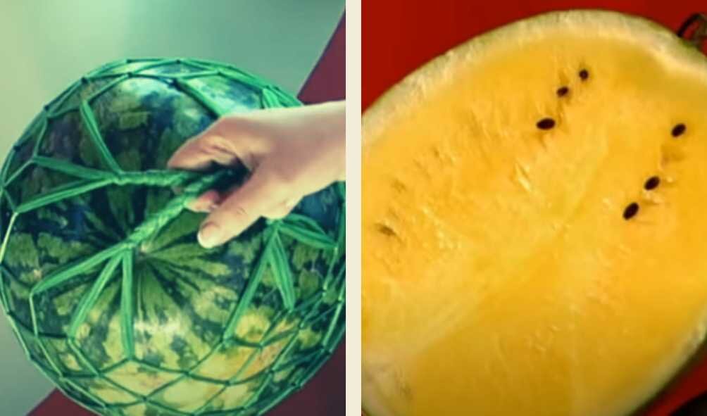 Арбузы лучше хранить в сетках в подвешенном состоянии в помещении с низкой плюсовой температурой