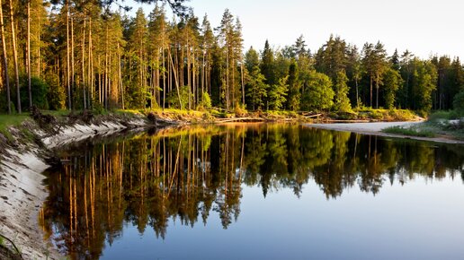 Забыл антенну. Карат, Ангара и Yaesu, КВ связь, эксперименты с антеннами. Полевой лагерь 2020.