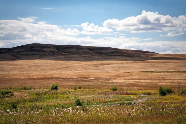 Оренбургские степи