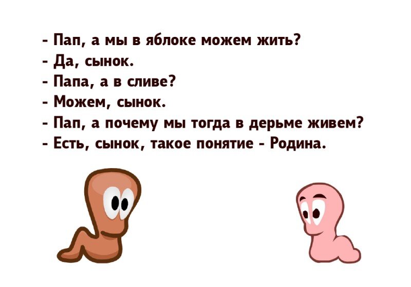 Это наша Родина, сынок.