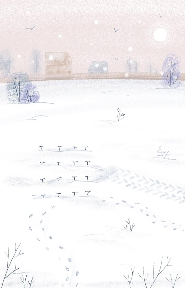 Примерно так получилось с фундаментом.