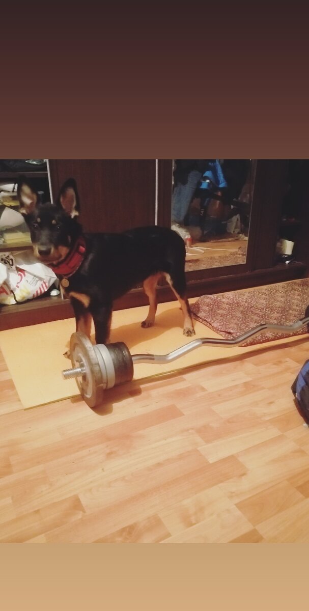 Фото с инсты