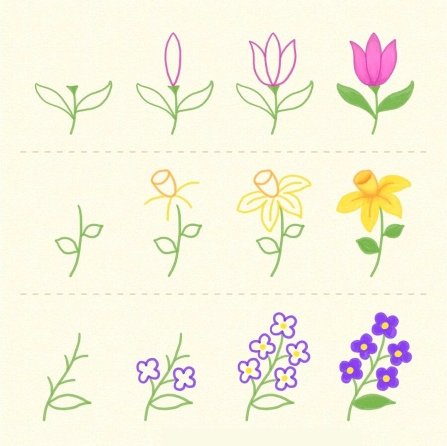 Как нарисовать цветы карандашом поэтапно - рисунки цветов