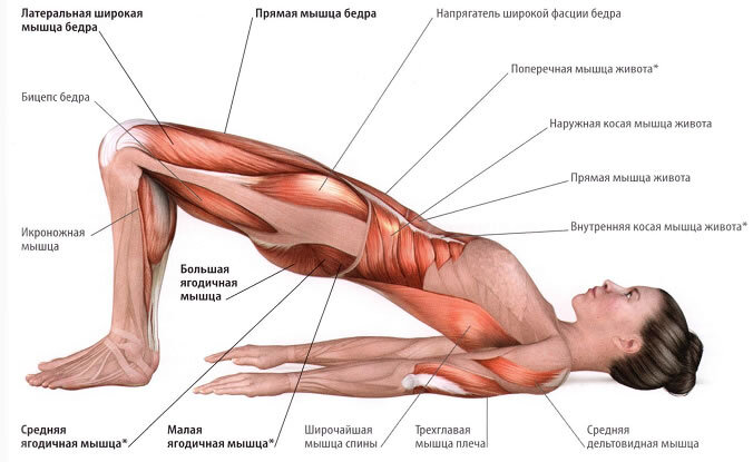 Классический массаж тела: польза, техника проведения, эффект, виды и противопоказания