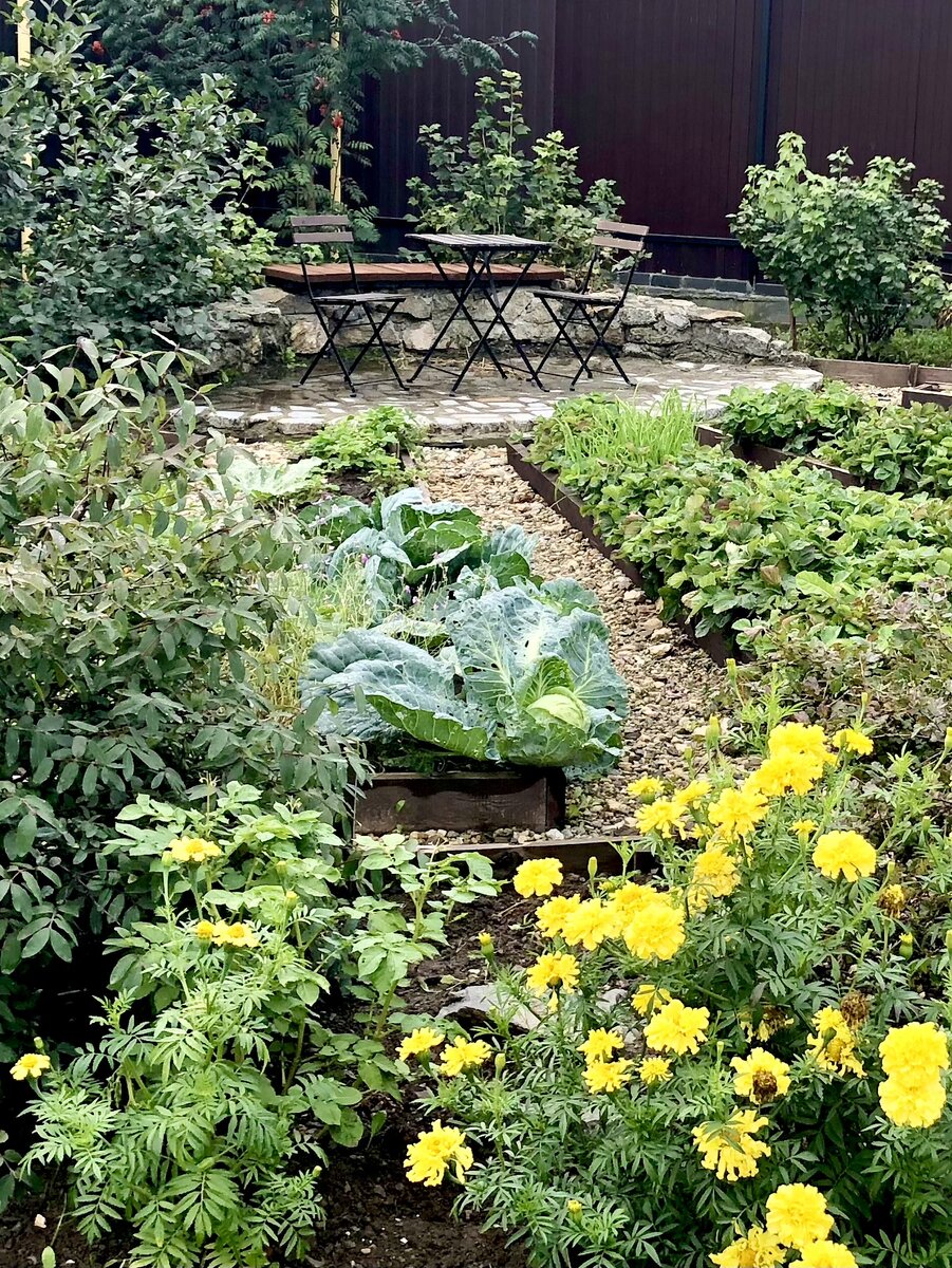 Любимый уголок на огороде