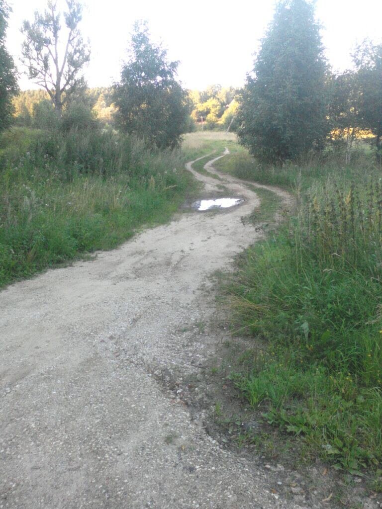 Сельская дорога.Фото ватора.