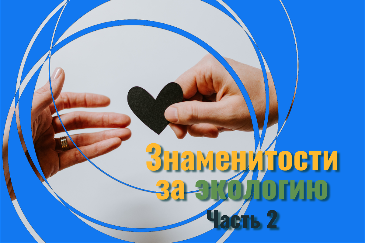 Чаще всего знаменитости обладают большим влиянием, поэтому положительный пример может замотивировать людей осознаннее относится к природе и окружающей среде.