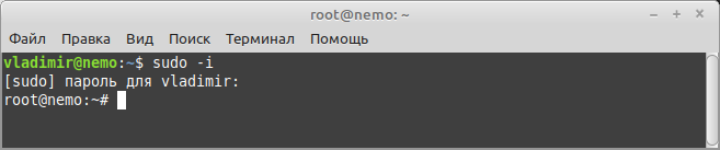 Выполнение команды sudo с опцией -i