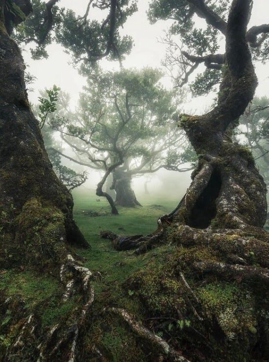 фото: Manuel Morales