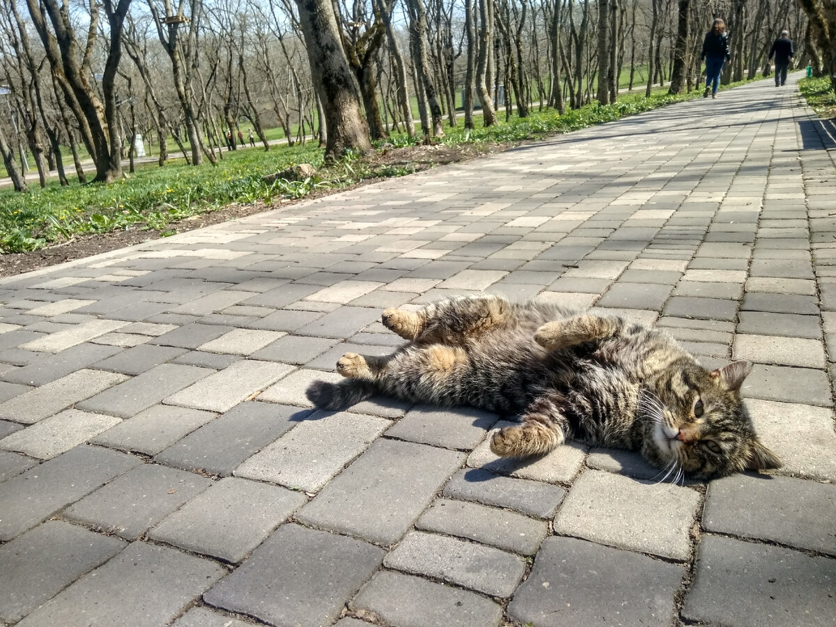 Дорога вокруг Машука (апрель 2021 года)