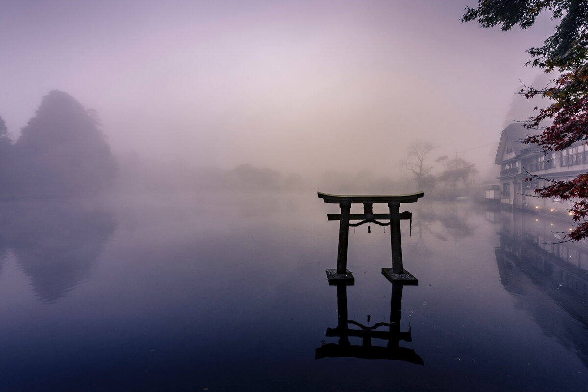 Photo by Ken Cheung on Unsplash
