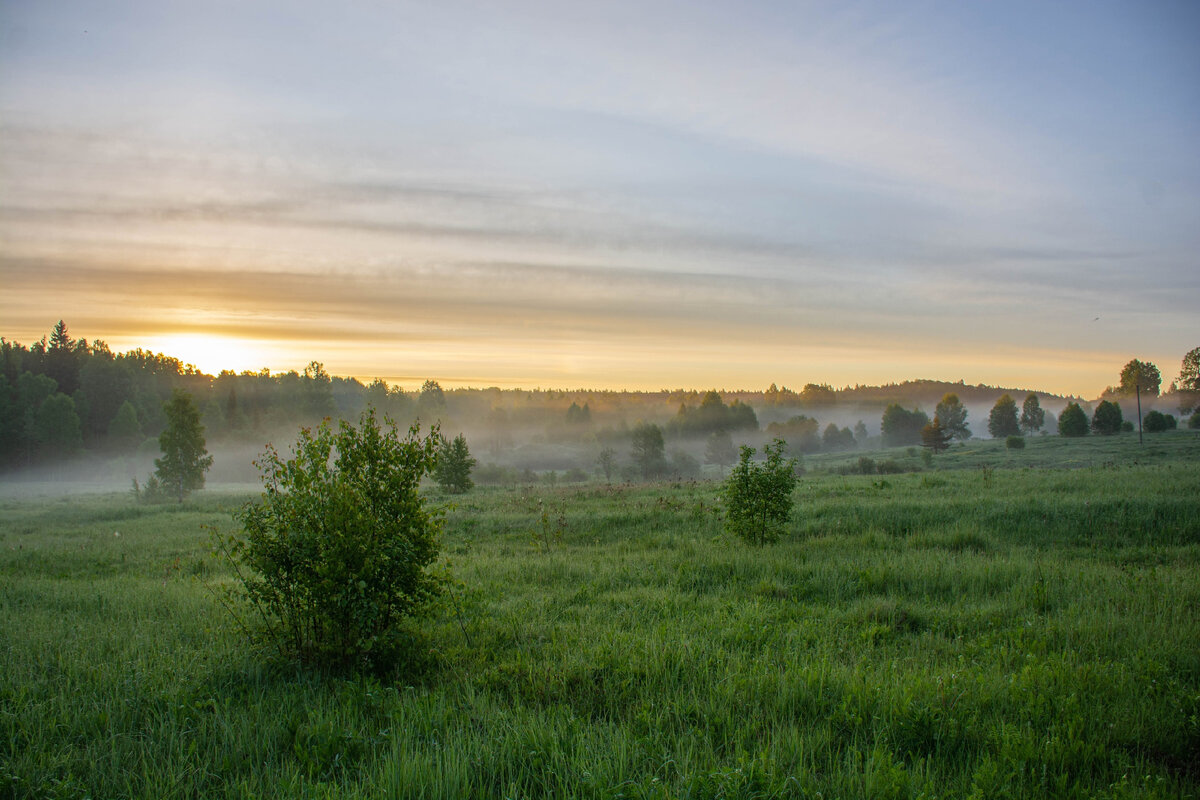 Утро в Гуках