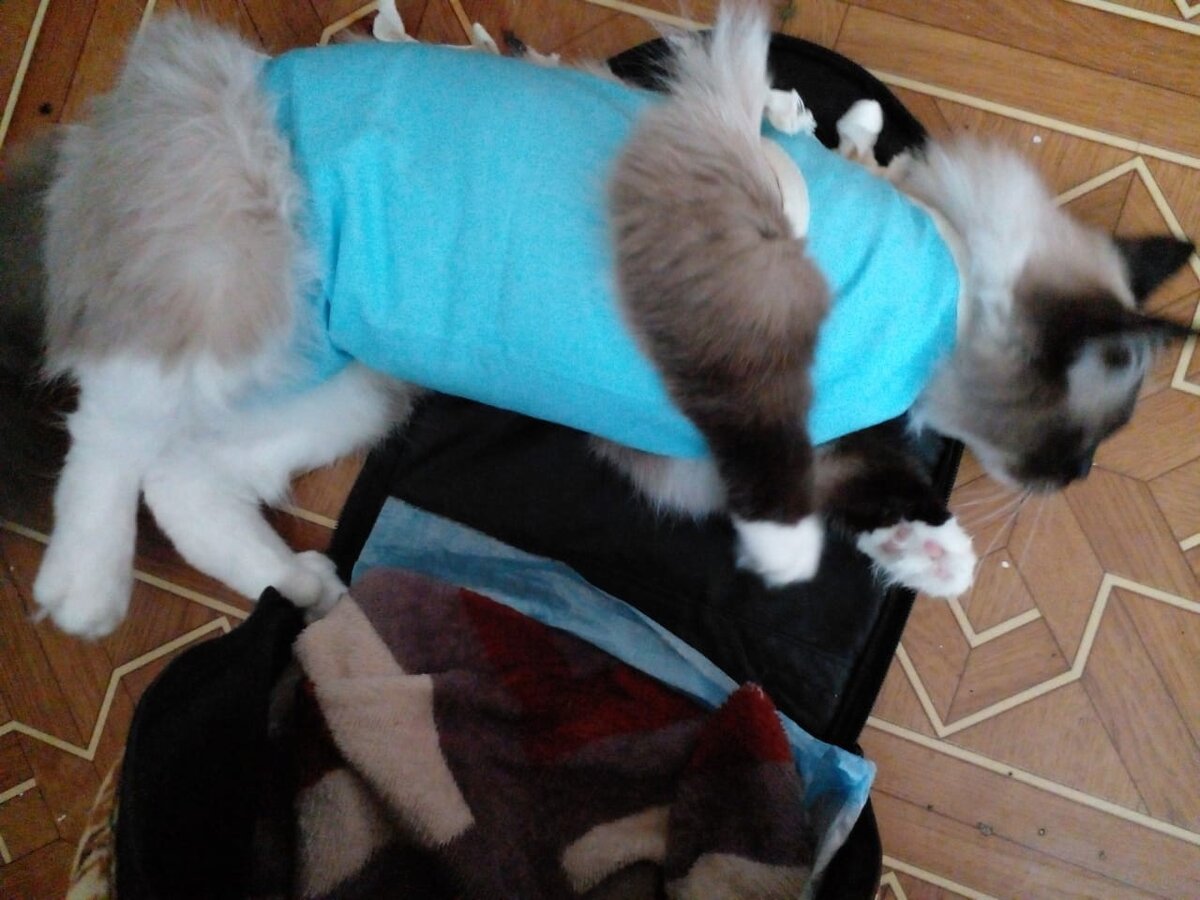 Тайна еще спит 