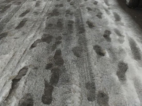     Елена Балуева / МК в Новосибирске