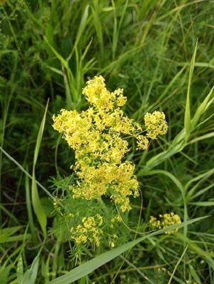 Фотография из личного архива автора