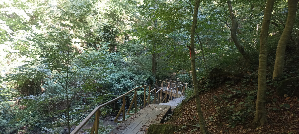 фото автора сентябрь 2022