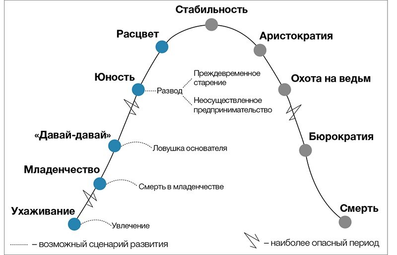 Этапы развития организации по Адизесу