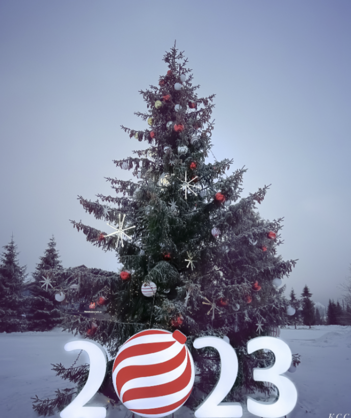 🍀 В поисках пятен и не только😉  С Наступающими Праздниками!!!