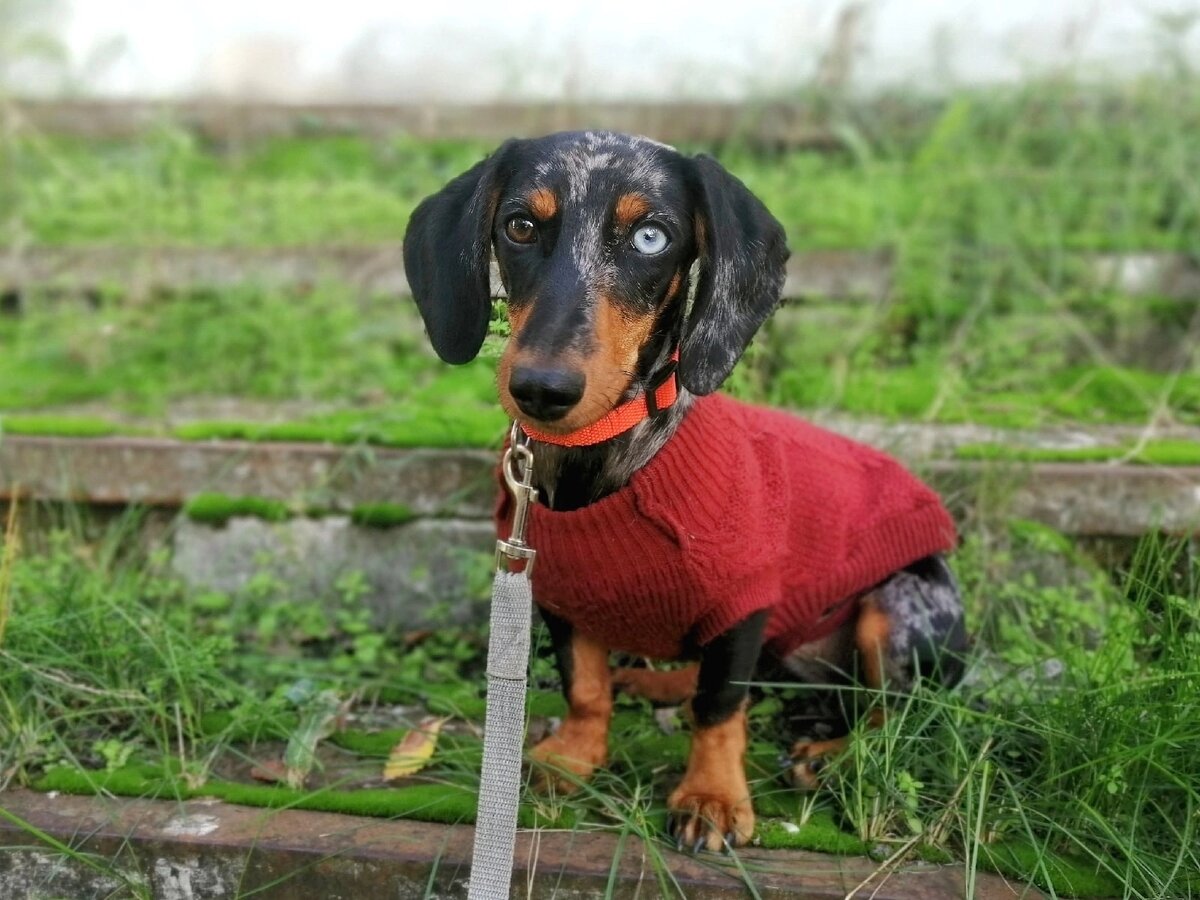 Фотограф, он же хозяин, Сергей Коротков