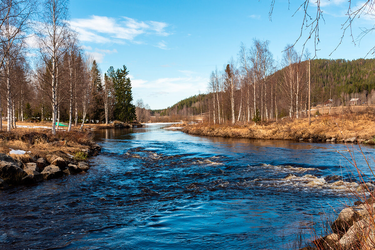    Фото: Lars Ove Jonsson/Shutterstock.com