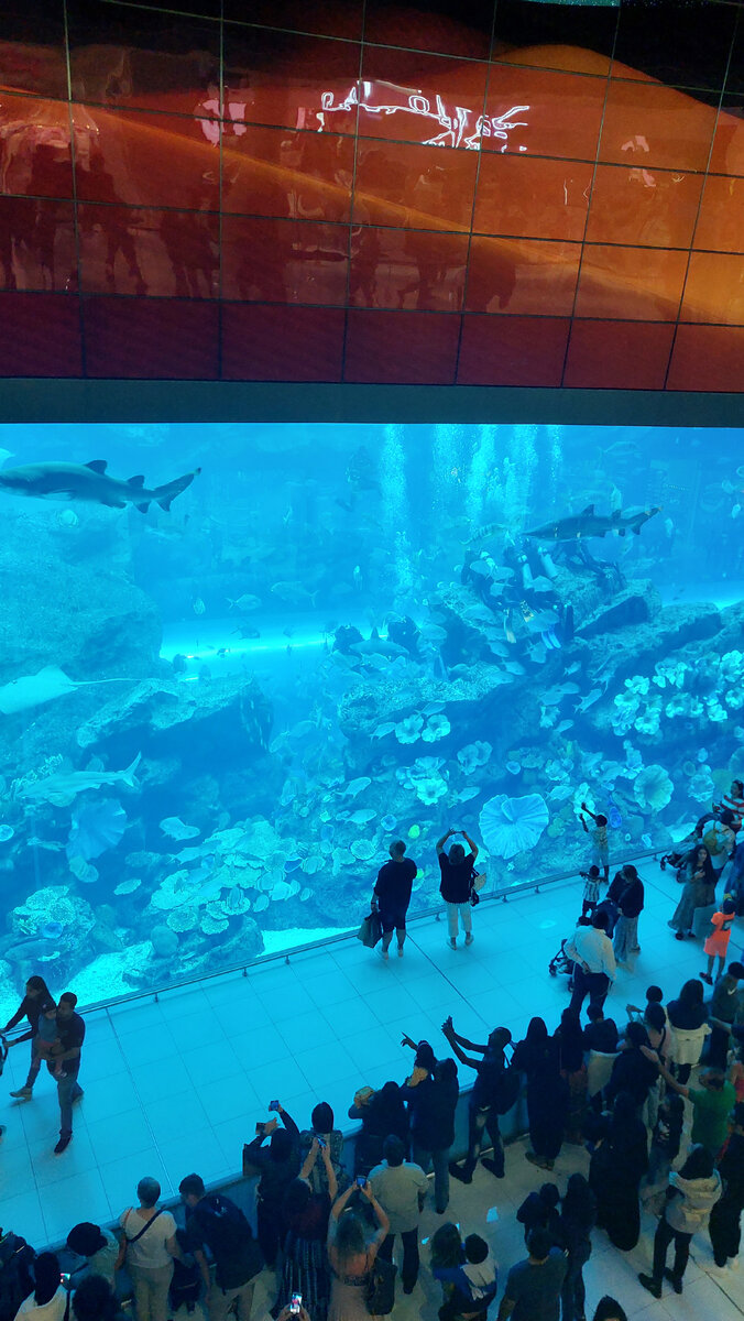 Народу в Дубай молл очень много