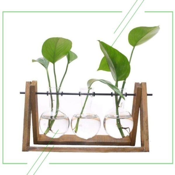 ТОП-7 лучших гидропонных установок: характеристики, плюсы и минусы ...