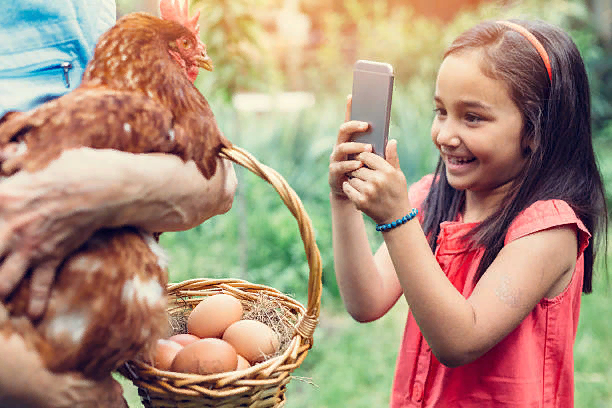 Фото приведено из свободных источников